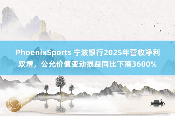 PhoenixSports 宁波银行2025年营收净利双增，公允价值变动损益同比下落3600%