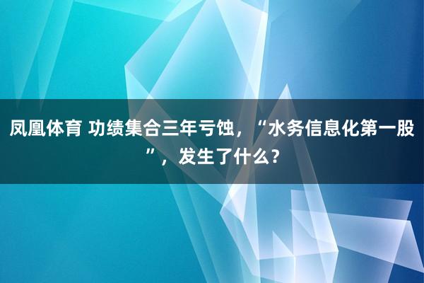 凤凰体育 功绩集合三年亏蚀，“水务信息化第一股”，发生了什么？