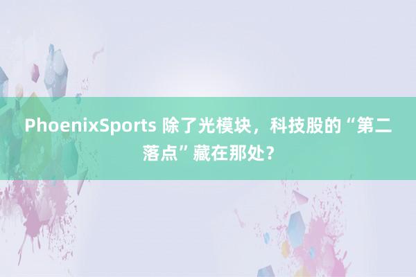 PhoenixSports 除了光模块，科技股的“第二落点”藏在那处？