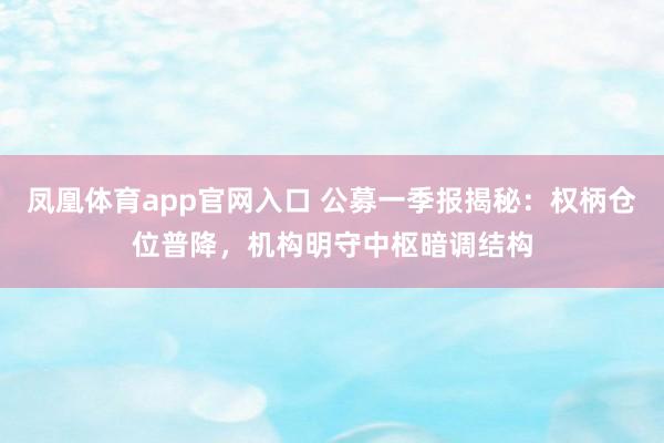凤凰体育app官网入口 公募一季报揭秘：权柄仓位普降，机构明守中枢暗调结构