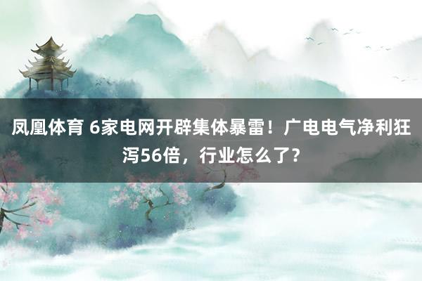 凤凰体育 6家电网开辟集体暴雷！广电电气净利狂泻56倍，行业怎么了？
