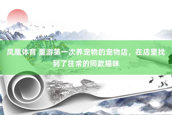 凤凰体育 重游第一次养宠物的宠物店，在店里找到了往常的同款猫咪