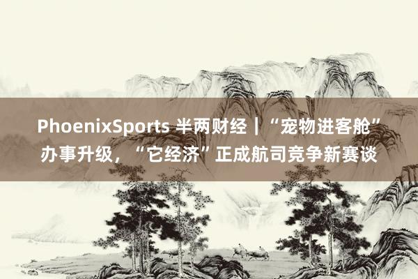 PhoenixSports 半两财经｜“宠物进客舱”办事升级，“它经济”正成航司竞争新赛谈