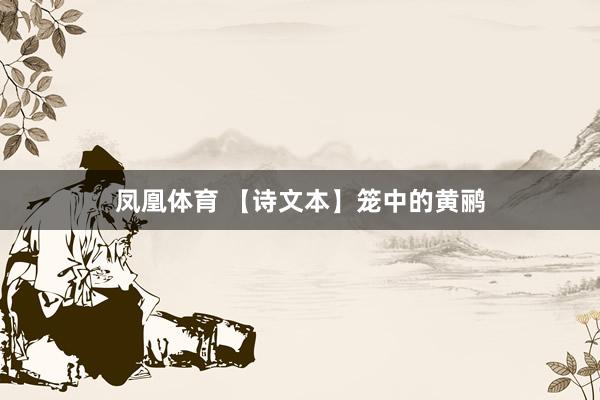 凤凰体育 【诗文本】笼中的黄鹂
