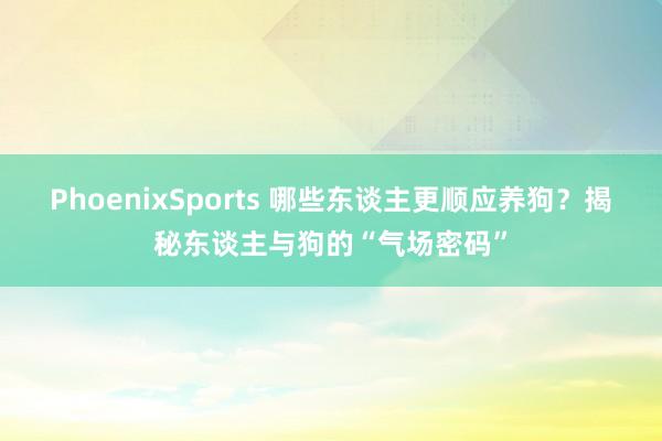 PhoenixSports 哪些东谈主更顺应养狗？揭秘东谈主与狗的“气场密码”