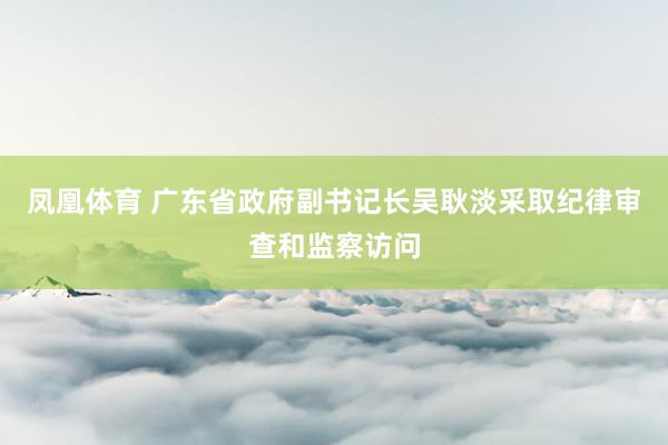 凤凰体育 广东省政府副书记长吴耿淡采取纪律审查和监察访问