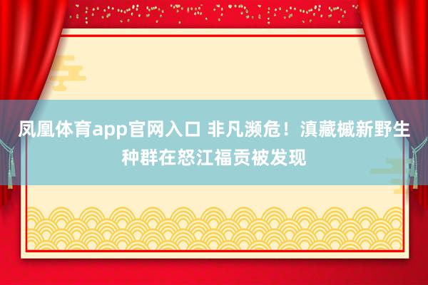 凤凰体育app官网入口 非凡濒危！滇藏槭新野生种群在怒江福贡被发现