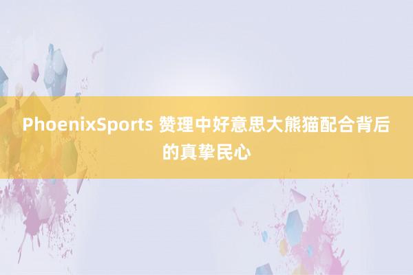 PhoenixSports 赞理中好意思大熊猫配合背后的真挚民心