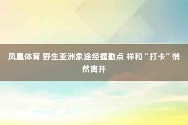 凤凰体育 野生亚洲象途经握勤点 祥和“打卡”悄然离开