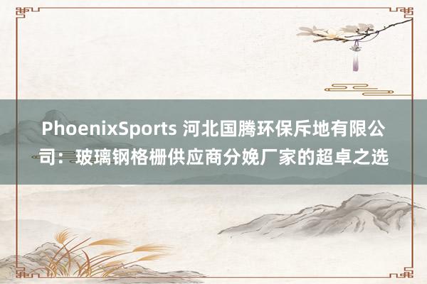 PhoenixSports 河北国腾环保斥地有限公司：玻璃钢格栅供应商分娩厂家的超卓之选
