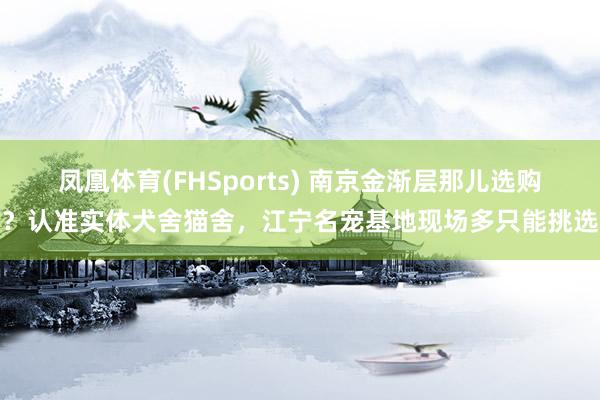 凤凰体育(FHSports) 南京金渐层那儿选购？认准实体犬舍猫舍，江宁名宠基地现场多只能挑选