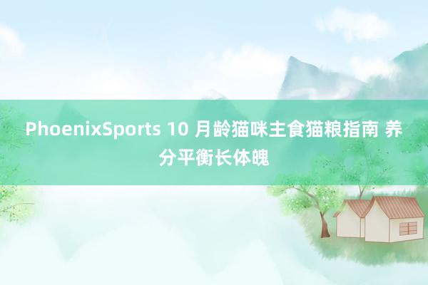 PhoenixSports 10 月龄猫咪主食猫粮指南 养分平衡长体魄