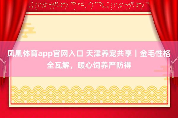 凤凰体育app官网入口 天津养宠共享｜金毛性格全瓦解，暖心饲养严防得