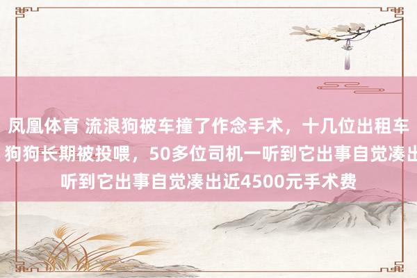 凤凰体育 流浪狗被车撞了作念手术，十几位出租车司机在病院守候：狗狗长期被投喂，50多位司机一听到它出事自觉凑出近4500元手术费