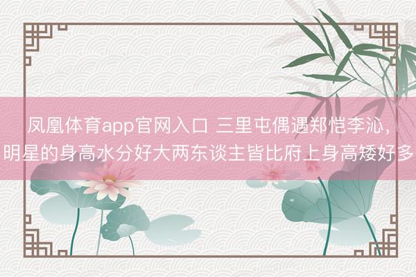 凤凰体育app官网入口 三里屯偶遇郑恺李沁，明星的身高水分好大两东谈主皆比府上身高矮好多