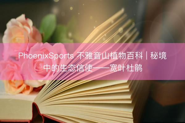 PhoenixSports 不雅音山植物百科 | 秘境中的生态信使——宽叶杜鹃