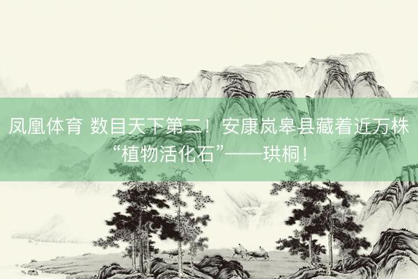 凤凰体育 数目天下第二！安康岚皋县藏着近万株“植物活化石”——珙桐！
