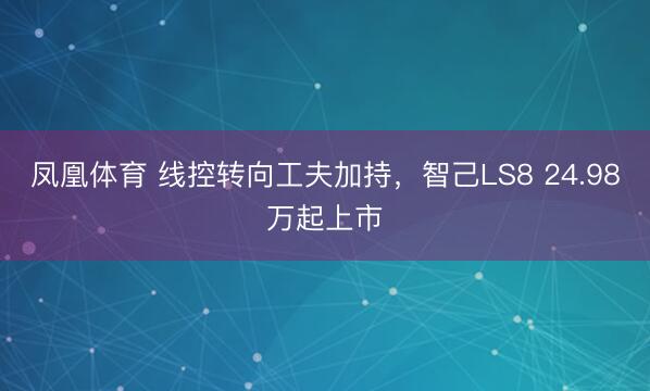 凤凰体育 线控转向工夫加持，智己LS8 24.98万起上市
